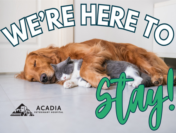 Yes, the Property Is for Sale — But We’re Not Going Anywhere!